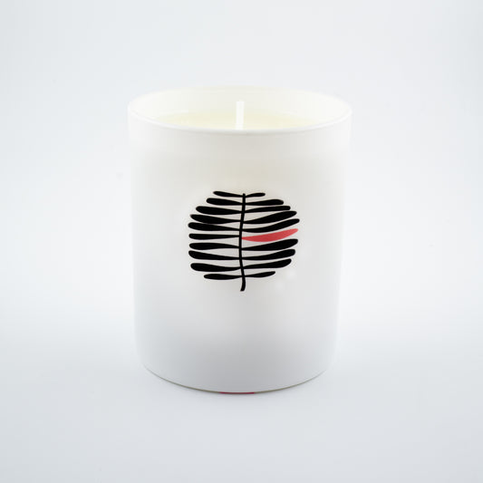 Hibernation Scented Candle 165g (medium)